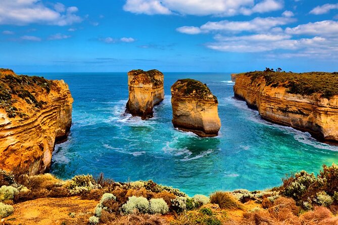 From Melbourne: Great Ocean Road 1-Day Tour - Feedback on Tour Guide