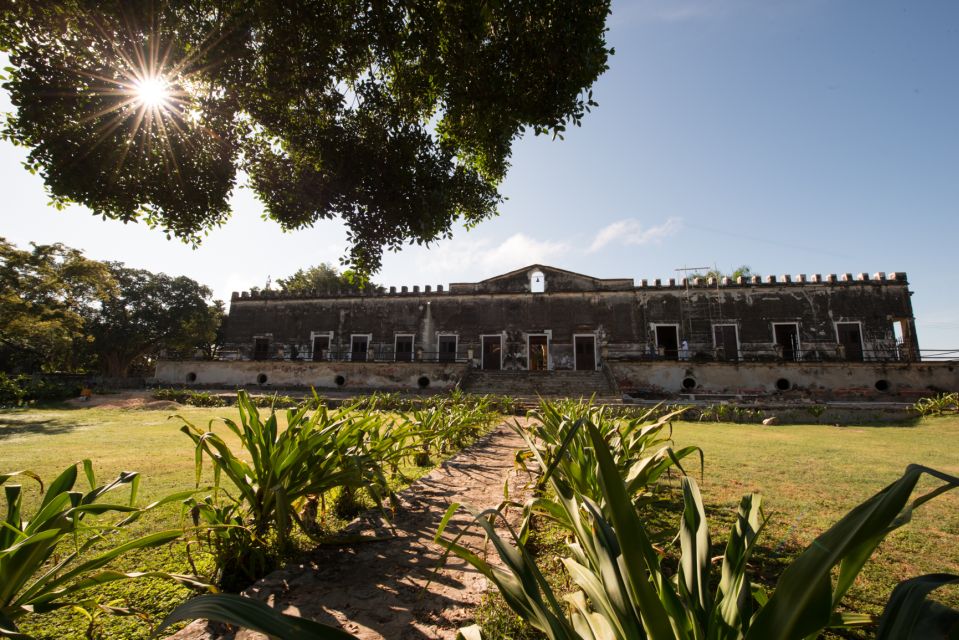 From Merida: Uxmal, Hacienda Yaxcopoil and Cenote With Lunch - Visitor Reviews