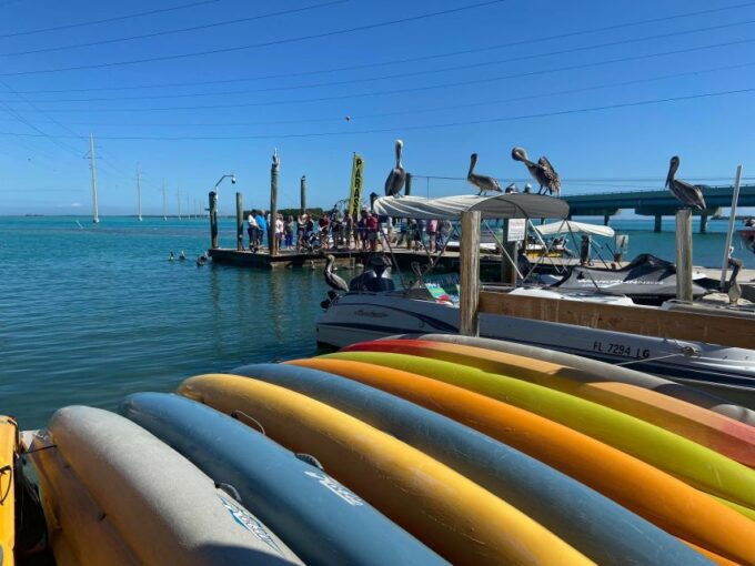 From Miami: Key Largo & Islamorada Private Open-Top Bus Tour - Pickup and Return Details