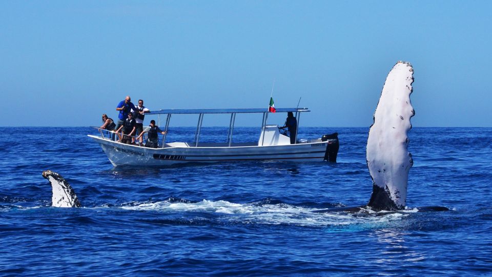 From Mirissa: Private Whale Watching Tour With Sunset - Additional Information