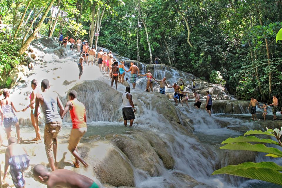 From Montego Bay: Dunn's River Falls Experience - Main Attractions and Activities