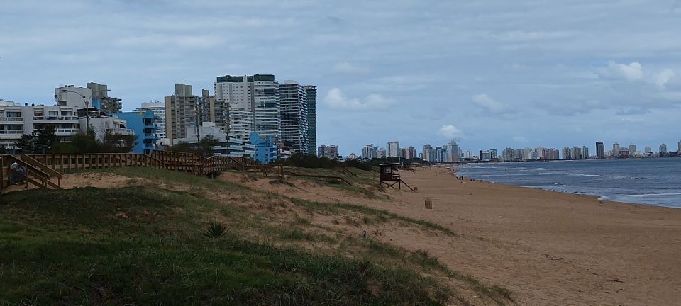 From Montevideo: Punta Del Este Full-Day Private Tour - Participant and Date Selection