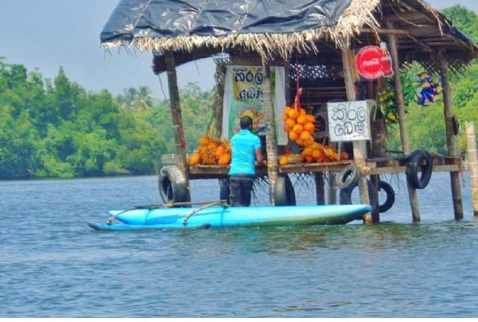 From Negombo: Madu River Safari & Turtle Hatchery Visit - Full Activity Description