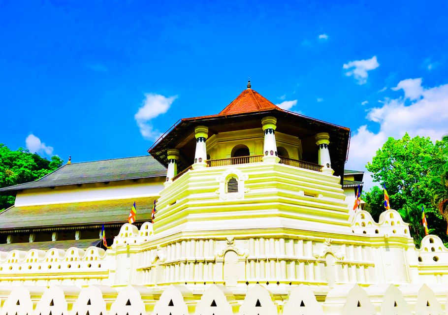 From Negombo or Colombo: 5-Day Central Highlands Tour - Transportation and Accommodation Details