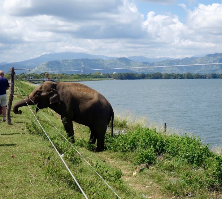 From Negombo: Udawalawa National Park Wildlife Safari - Itinerary Details