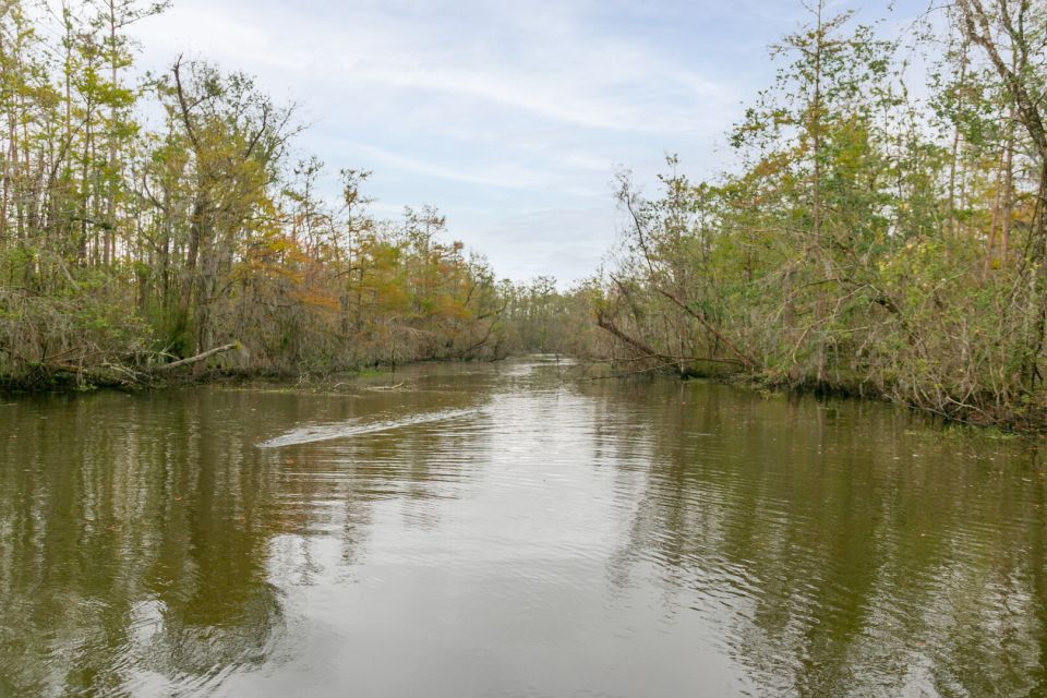 From New Orleans: Swamp Airboat, 2 Plantation Tours & Lunch - Review Ratings