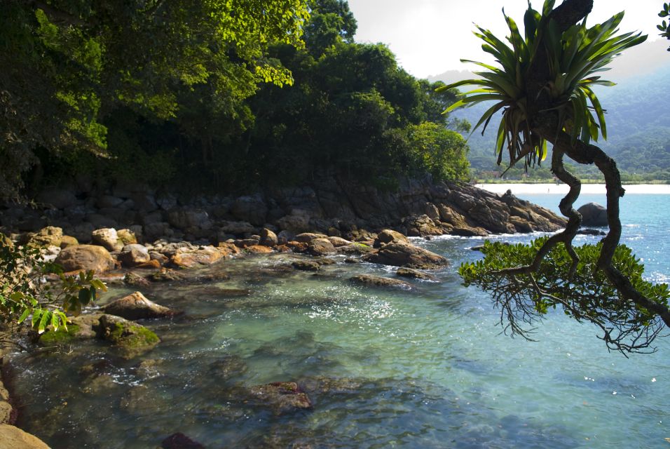 From Paraty: Full Day to Trindade - One Day in Paradise - Customer Reviews