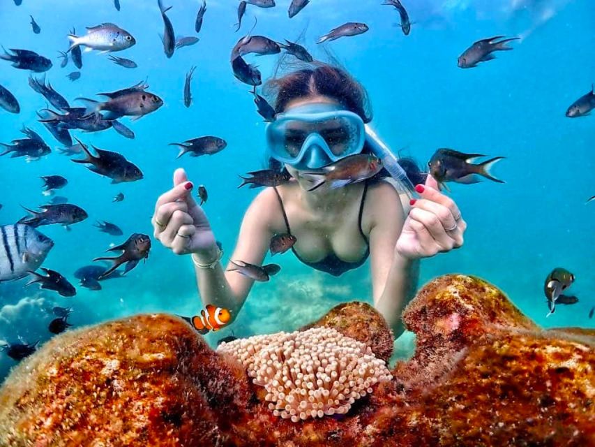 From Pattaya: Private Speedboat to Nemo Island With Snorkel - Weather Considerations