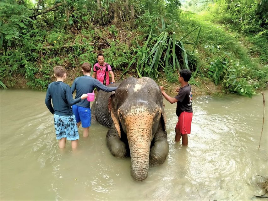 From Phuket: Elephant & Sea Turtle Conservation Private Tour - Authentic Thai Lunch Experience