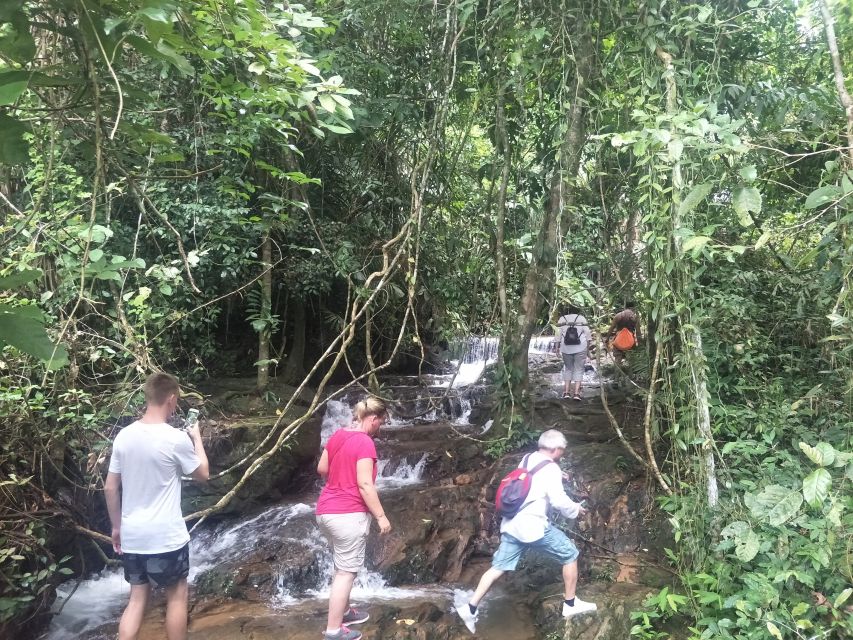 From Phuket: Guided Rainforest Hike With Lunch - Additional Information