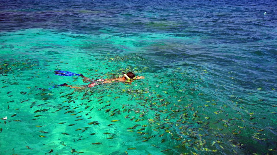 From Phuket/Khaolak: Similan Islands Early Bird Day Trip - Customer Reviews