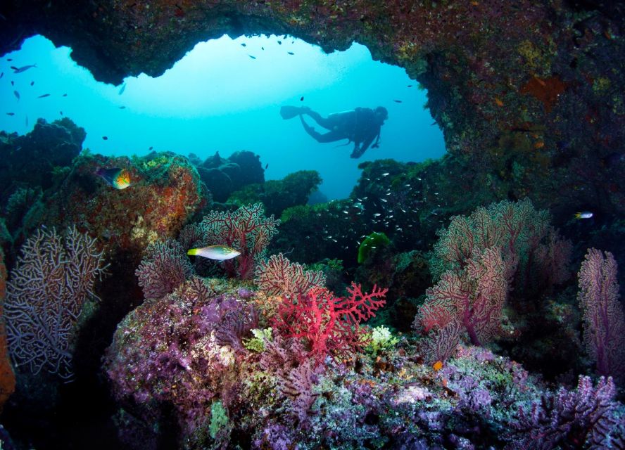 From Phuket : Snorkeling Tour at Similan Islands - Booking and Additional Information