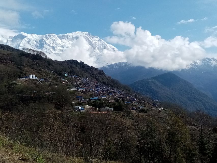 From Pokhara: 2 Nights 3 Days Mardi Himal Trek - Last Words