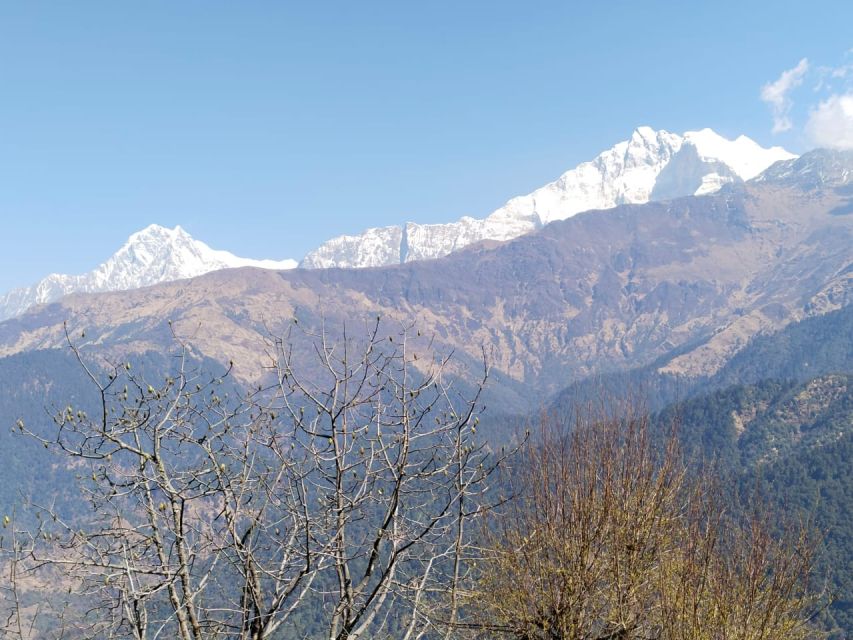 From Pokhara: 4-Day Annapurna and Poon Hill Himalayan Trek - Customer Feedback