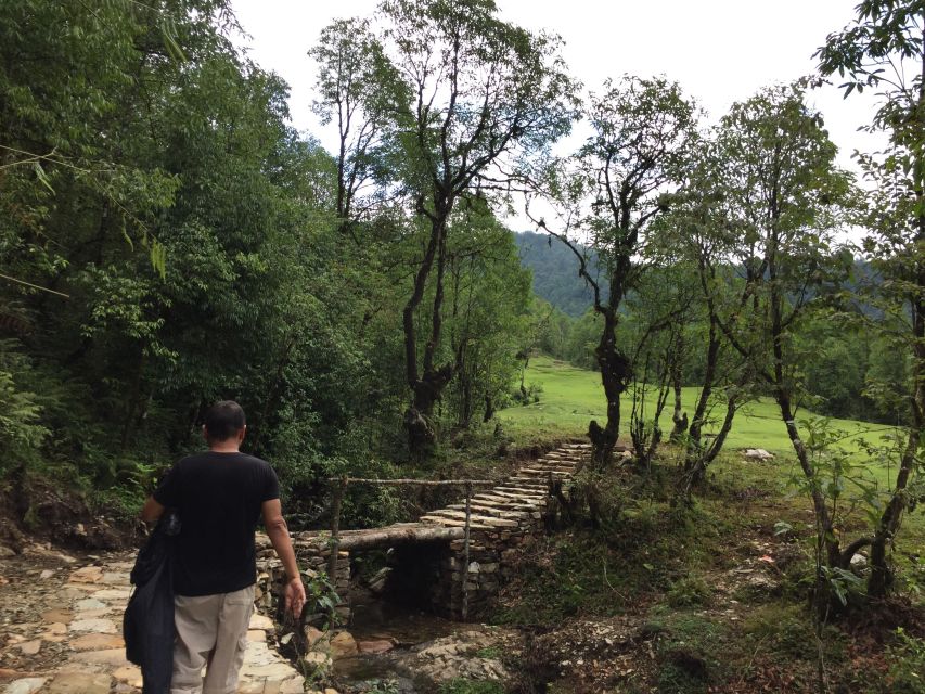 From Pokhara: Australian Camp to Annapurna Panorama Day Hike - Hiking Details