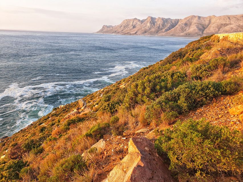From Port Elizabeth: 5-Day Garden Route Tour to Cape Town - Highlights of Jeffreys Bay