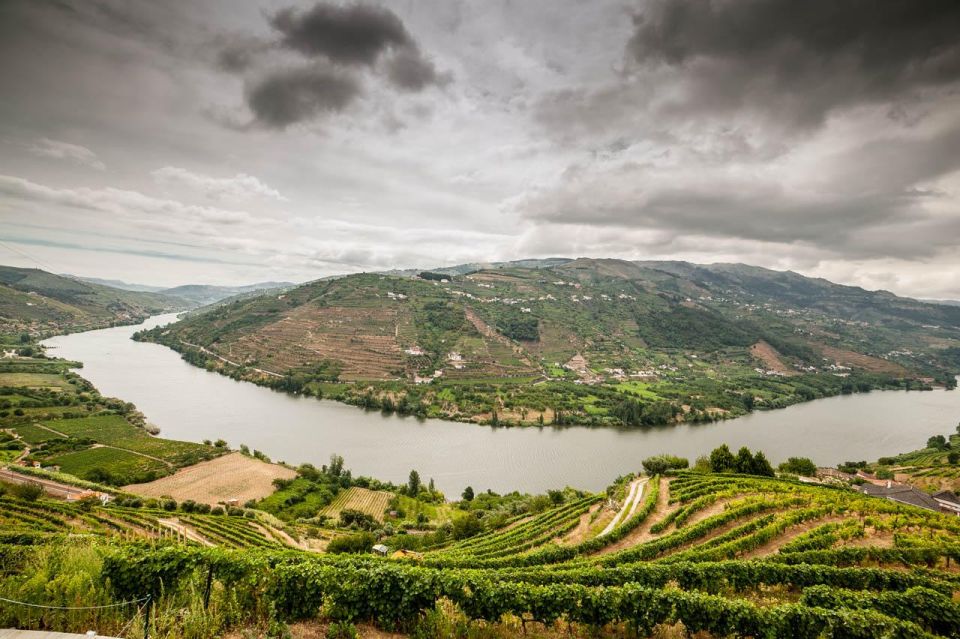 From Porto: Douro Valley Private Tour - Pinhao Train Station Experience