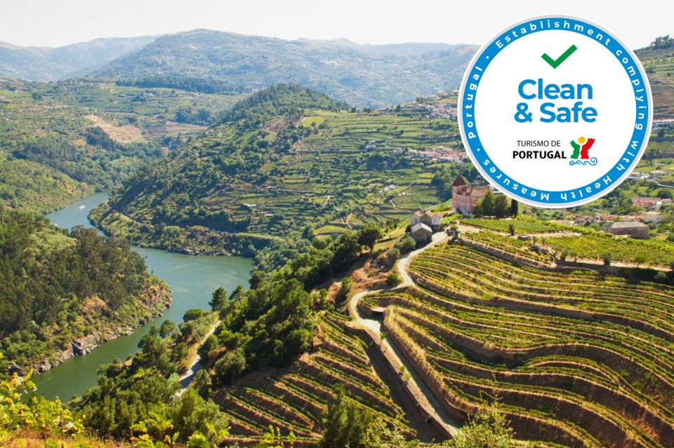 From Porto: Full-Day Douro Valley Wine Tour - Customer Reviews and Ratings