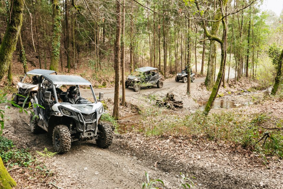 From Porto: Off-Road Buggy Adventure - Flexible Booking Options