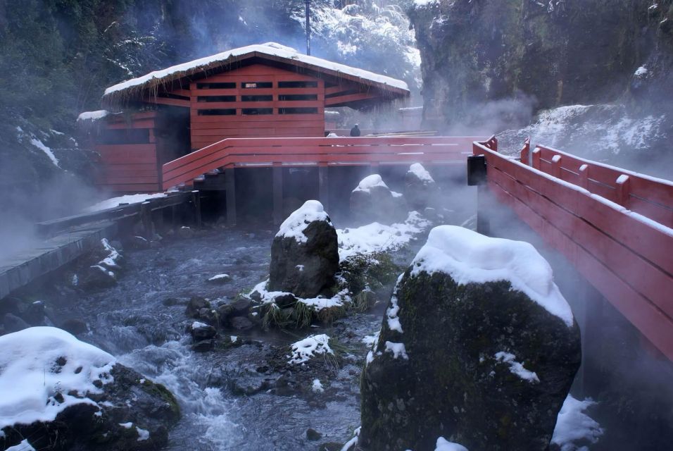 From Pucón: Geometric Hot Springs - Return Trip Schedule