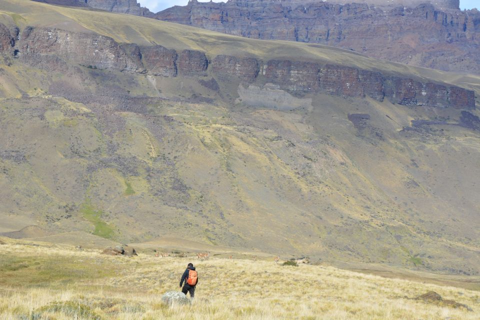From Puerto Natales: Sierra Baguales Fossil Route Trek - Common questions