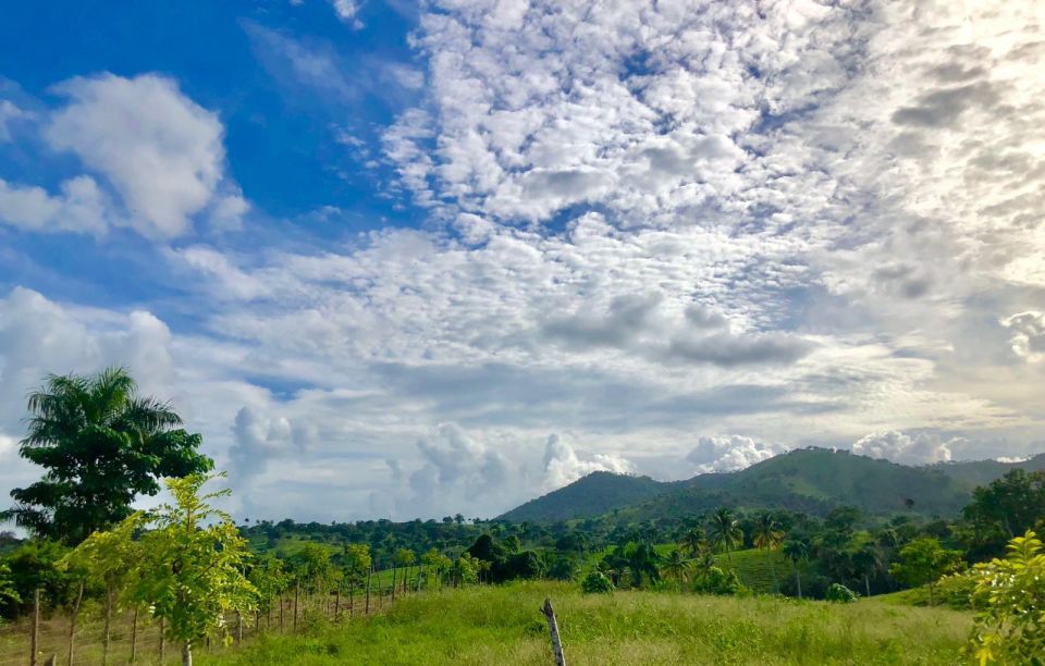 From Punta Cana: Jungle Buggy Adventure to Anamuya River - Natures Refreshment: Swim in Anamuya River