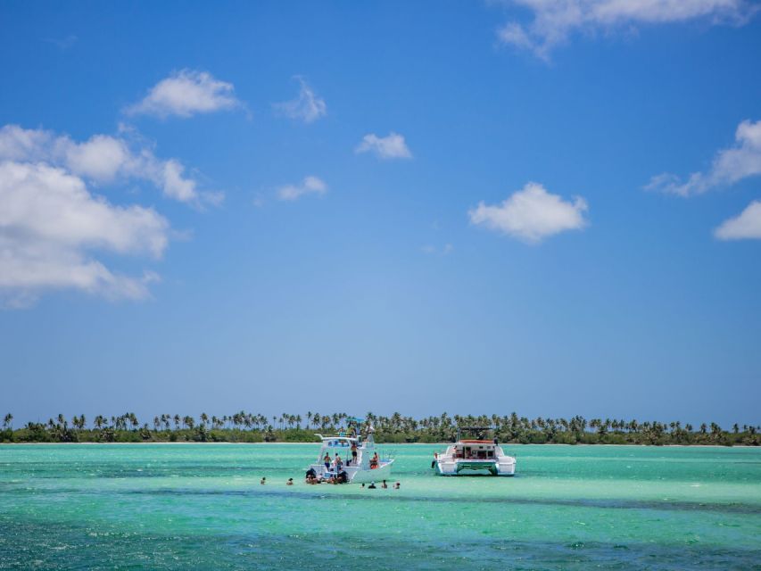 From Punta Cana: Saona Island Private Guided Catamaran Tour - Tour Highlights