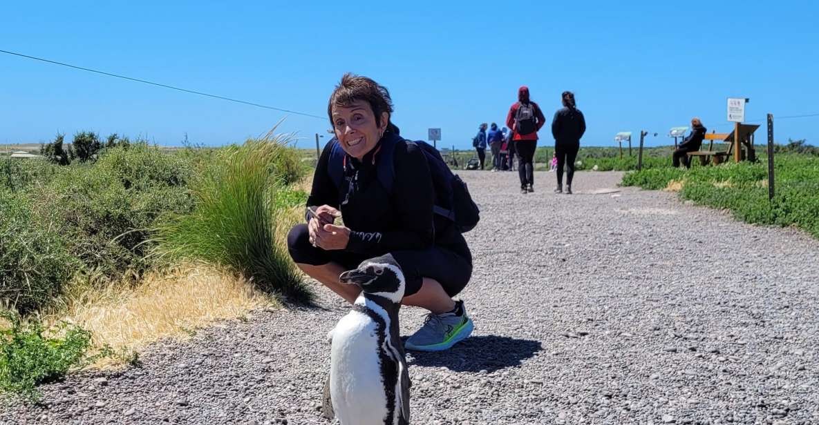 From Punta Madryn: Punta Tombo Shore Excursion With Lunch - Accessibility and Options