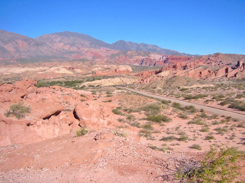 From Salta: Cafayate and Hornocal 2-Day Tour With Transfer - Customer Reviews and Testimonials