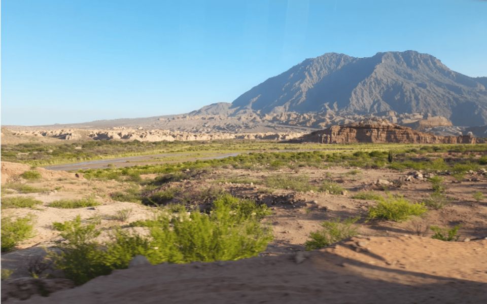 From Salta: Cafayate, Land of Wines and Imposing Ravines - Customer Reviews