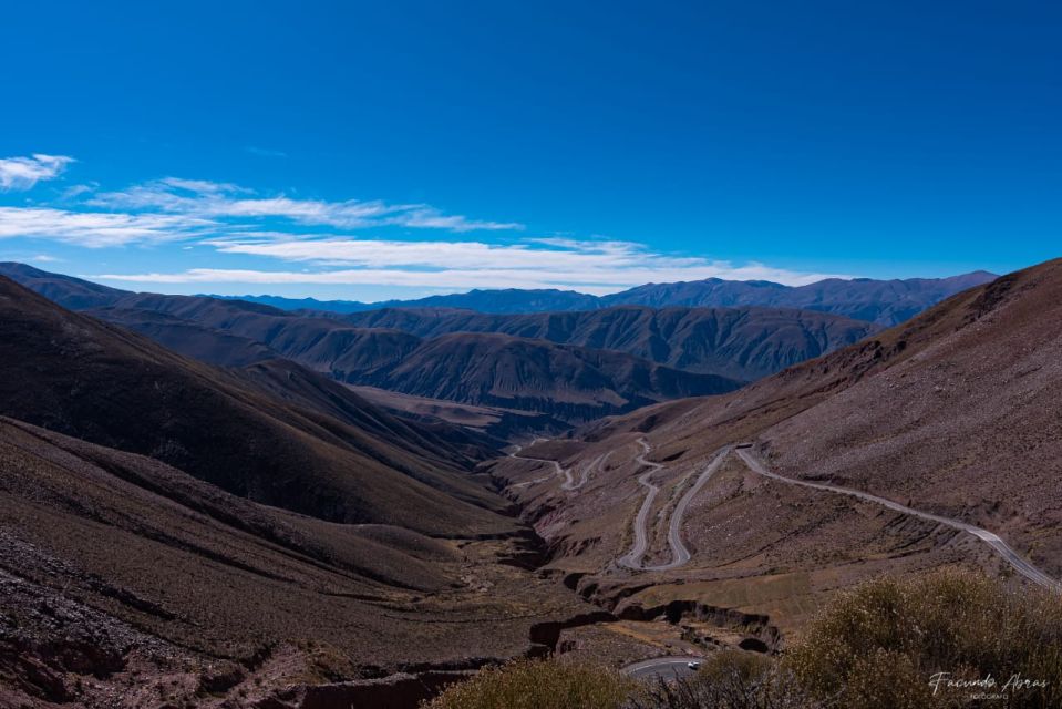 From Salta: Local Landscape, Winery, and Culture Tour - Customer Testimonials and Reviews