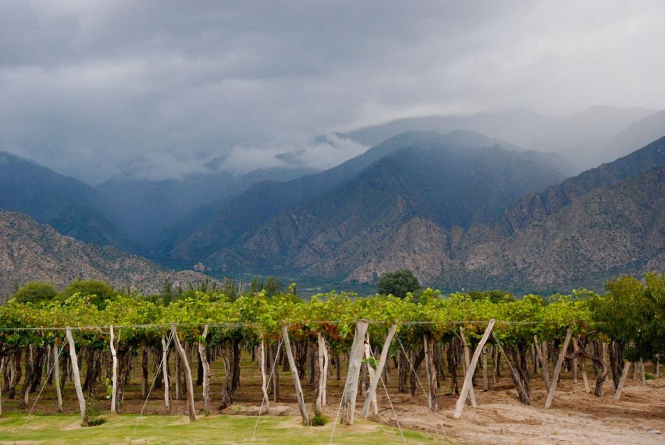 From Salta:Cafayate and the Imposing Quebrada De Las Conchas - Product Details