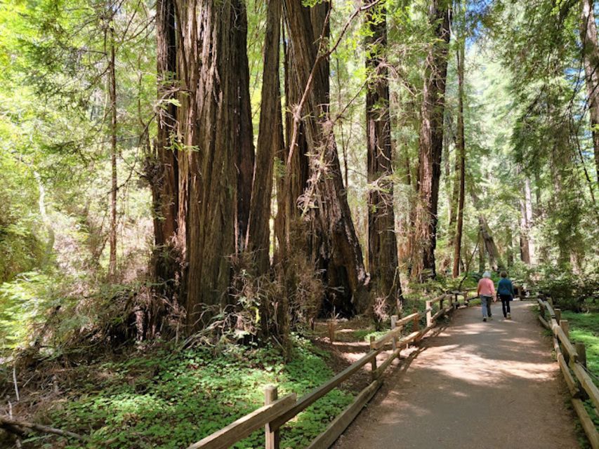 From San Francisco: Private Muir Woods and Napa Wine Tour - Additional Details