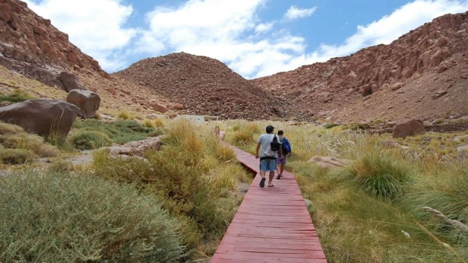 From San Pedro De Atacama: Puritama Hot Spring Experience - Review Summary
