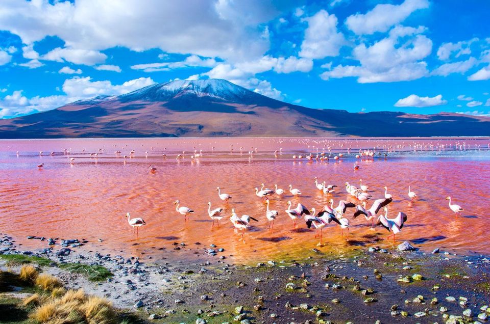 From San Pedro De Atacama: Uyuni Salt Flat 3-Days - Day 2: Pre-Inca Cave Paintings