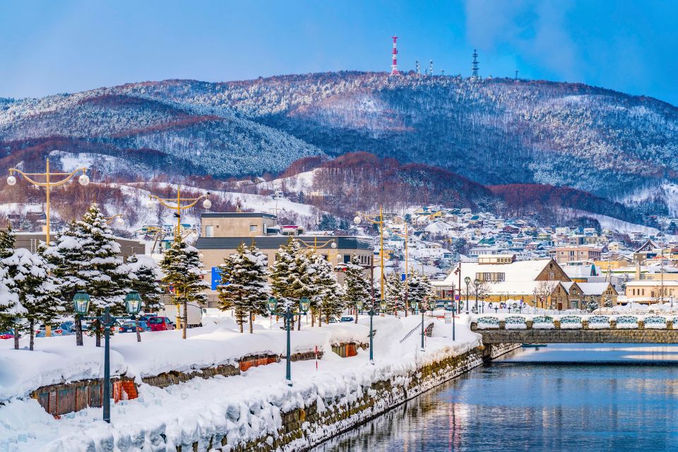 From Sapporo: 10-hour Customized Private Tour to Otaru - Reservation and Payment