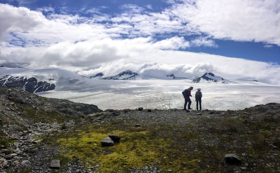 From Seward: Harding Icefield Trail Hiking Tour - Customer Reviews