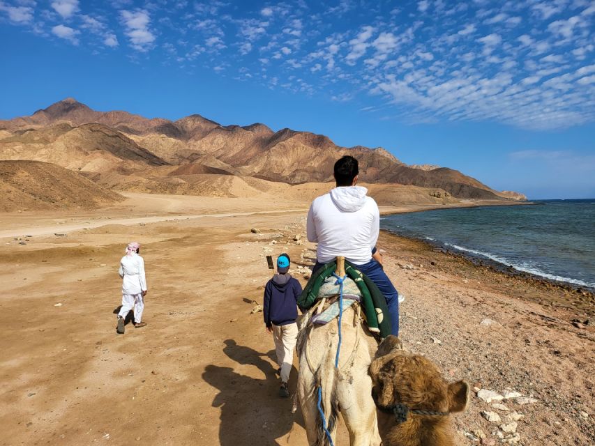 From Sharm: Private Tour to Dahab Canyon, ATV, Camel & Lunch - Detailed Itinerary