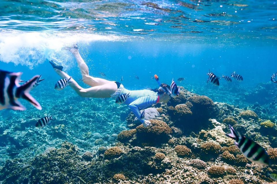 From Sharm: Ras Mohammed Snorkeling Cruise & Optional Diving - Activity Experience