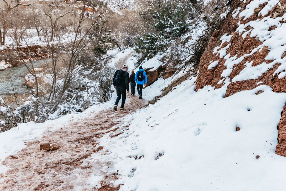 From Springdale: 4-hour Zion Canyon Scenic Hiking Tour - Highlights of Zion Canyon Exploration