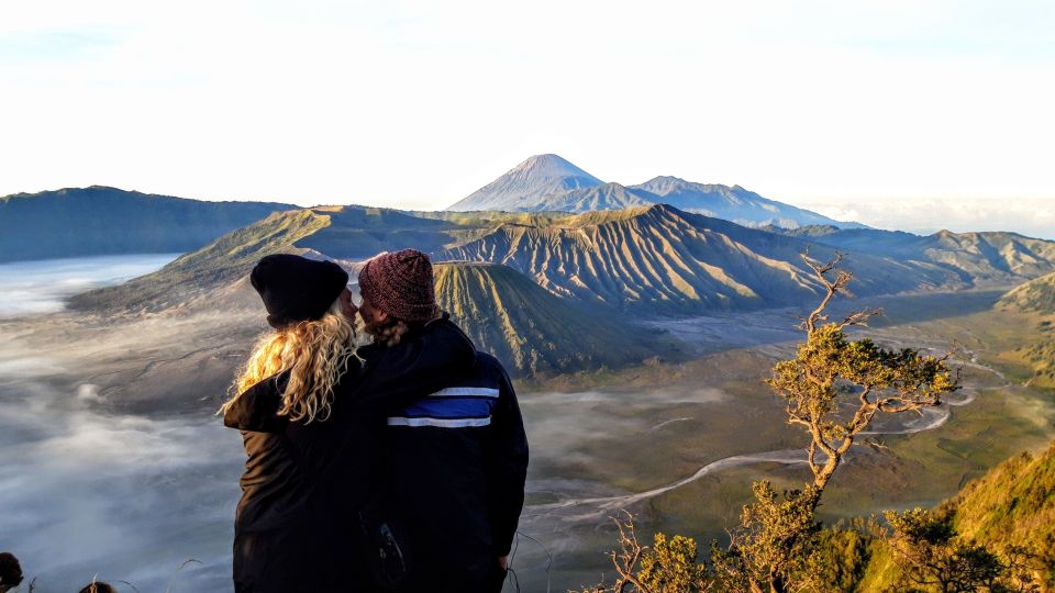 From Surabaya or Malang: Mount Bromo Sunrise 1-Day Trip - Customer Reviews and Testimonials