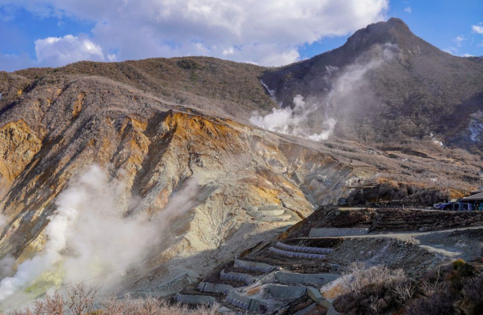 From Tokyo: 10-hour Hakone Private Custom Tour - Experience Highlights and Benefits