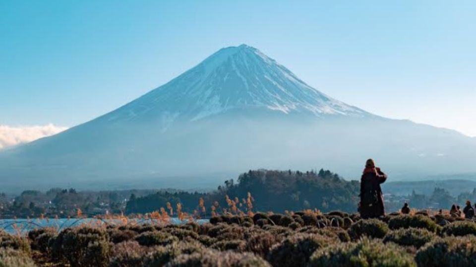 From Tokyo: Customizable Mount Fuji Full-Day Private Tour - Customer Reviews and Ratings