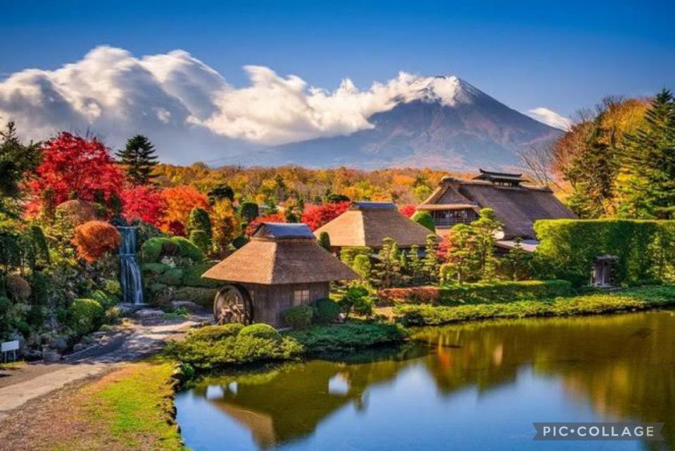 From Tokyo/Hakone/Fuji: Hakone & Mt. Fuji Day Trip W/Pickup - Additional Information