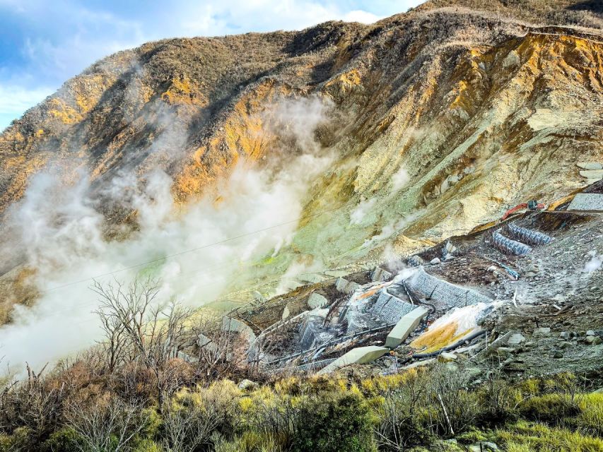 From Tokyo: Hakone, Owakudani, & Lake Kawaguchi Day Tour - Traveler Reviews and Important Notes