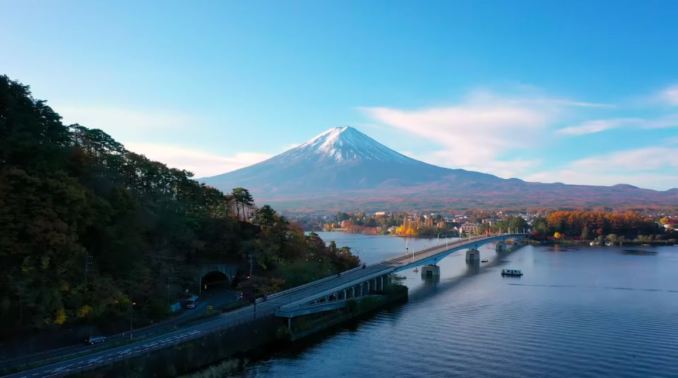 From Tokyo: Mt. Fuji Sightseeing Private Day Tour - Review Summary and Ratings