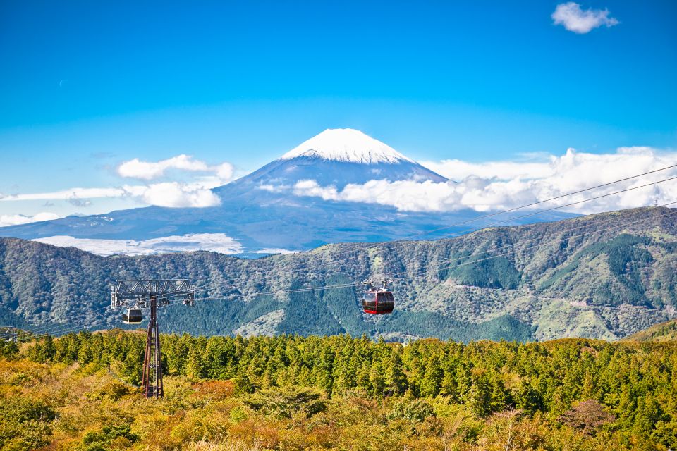 From Tokyo: Private Day Trip to Hakone With Lake Ashi Cruise - Cancellation Policy