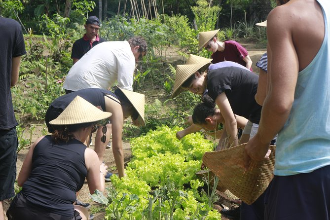 From Ubud: Authentic Bali Farm Cooking School & Organic Farm - Logistics and Pickup Information