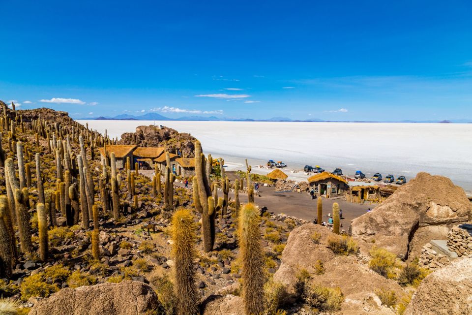 From Uyuni:Uyuni Salt Flats With Incahuasi Island Full Day - Customer Reviews