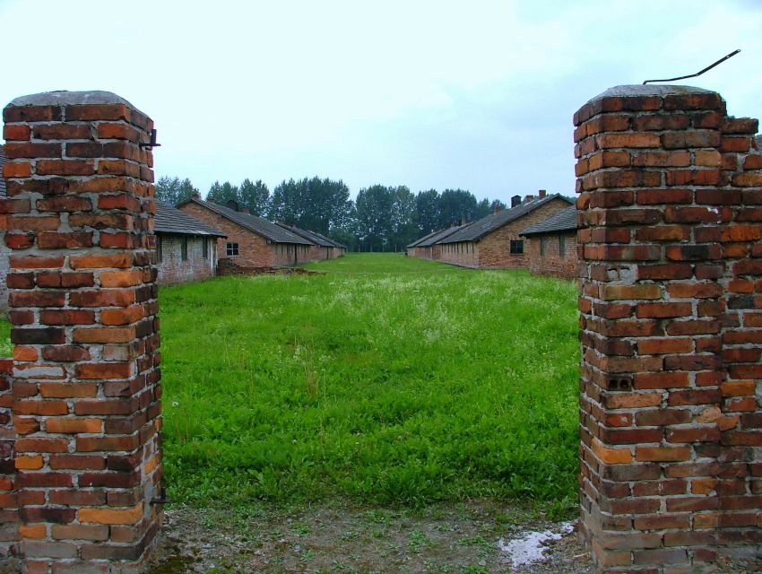 From Warsaw: Full Day Guided Trip to Auschwitz-Birkenau - Tour Description
